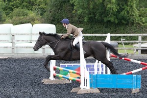 Class 3 -  Fences not above 2'3